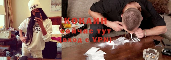 индика Алзамай