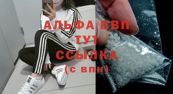 дмт Краснослободск