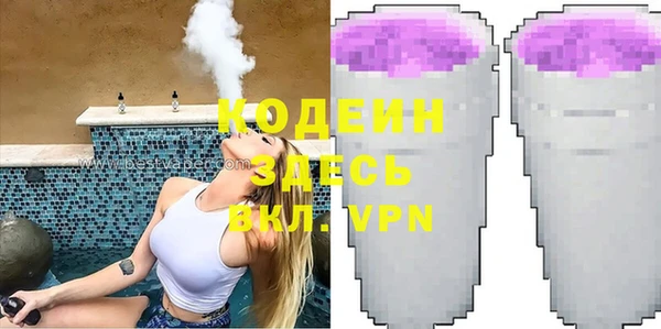 индика Алзамай